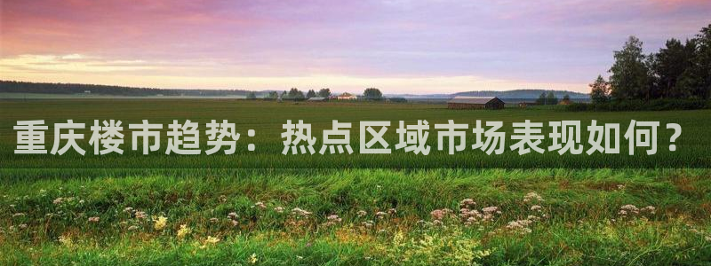 和记平台网站官网：重庆楼市趋势：热点区域市场表现如何？