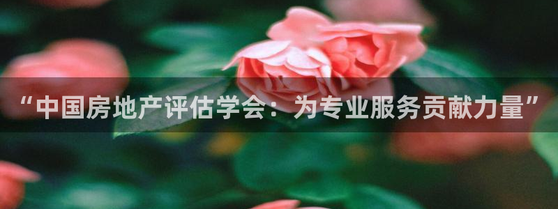 和记官网客服app