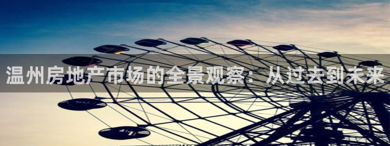 澳门和记电信官网：温州房地产市场的全景观察：从过去到未来