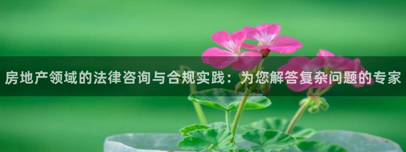 和记集团官网：房地产领域的法律咨询与合规实践：为您解答复杂问