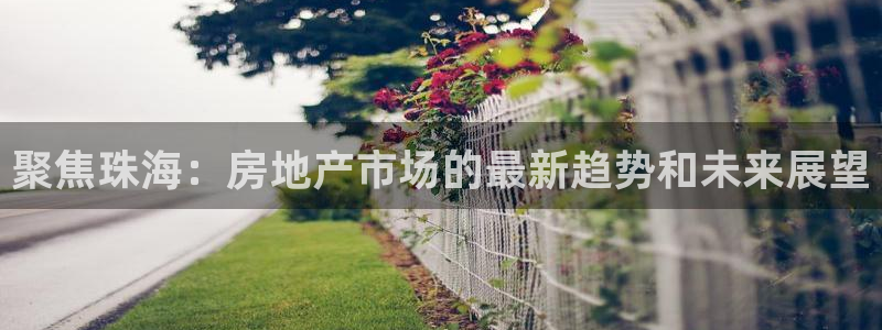 香港和记3官网：聚焦珠海：房地产市场的最新趋势和未来展望