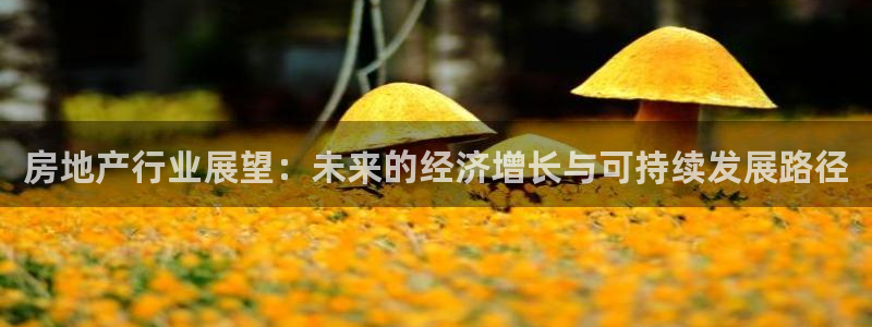 和记卡官网：房地产行业展望：未来的经济增长与可持续发展路径