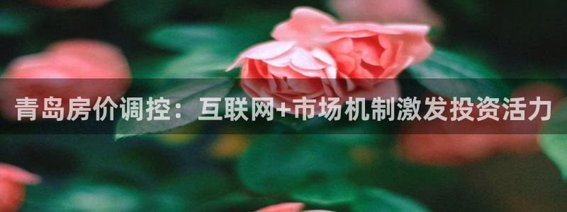 澳门和记电讯官网：青岛房价调控：互联网+市场机制激发投资活力