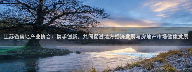 和记电游官网：江苏省房地产业协会：携手创新，共同促进地方经济