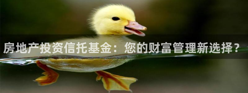 和记开户官网：房地产投资信托基金：您的财富管理新选择？