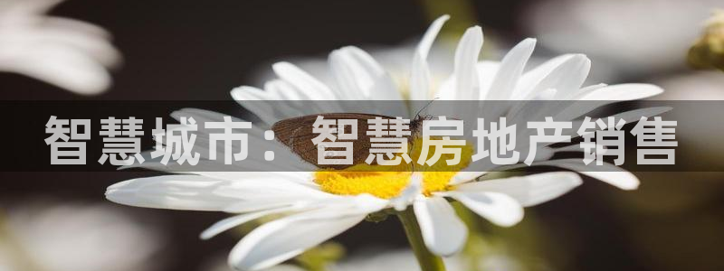 和记官网首页：智慧城市：智慧房地产销售