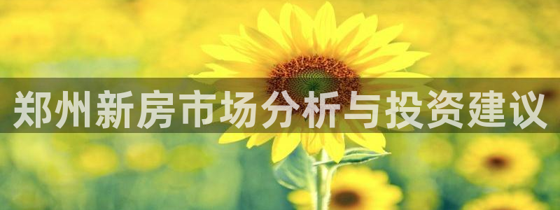 和记大合城dk2官网：郑州新房市场分析与投资建议