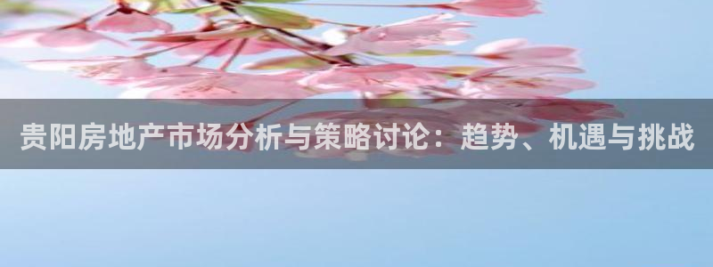 和记app官网登录：贵阳房地产市场分析与策略讨论：趋势、机遇
