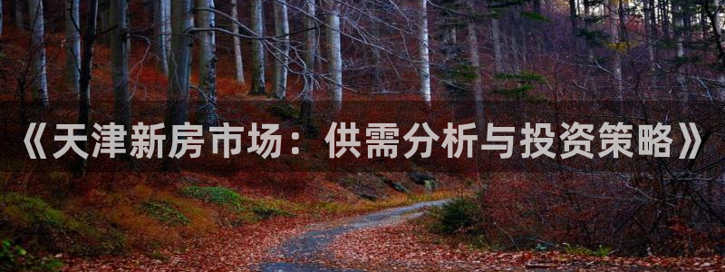 成都和记黄埔官网：《天津新房市场：供需分析与投资策略》