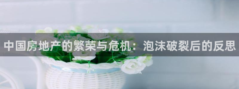 和记官网手机新版app下载：中国房地产的繁荣与危机：泡沫破裂