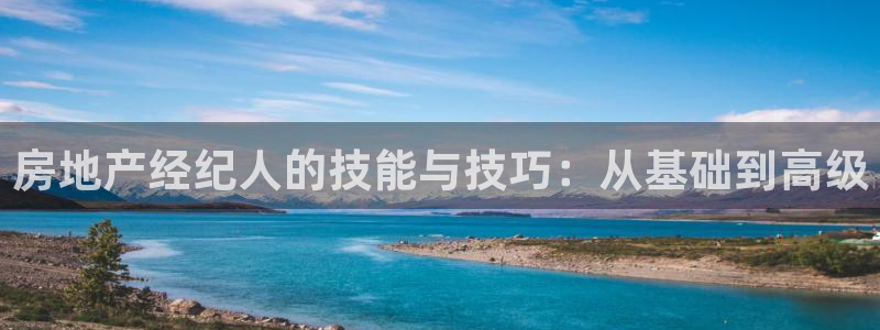 和记唯一官网：房地产经纪人的技能与技巧：从基础到高级