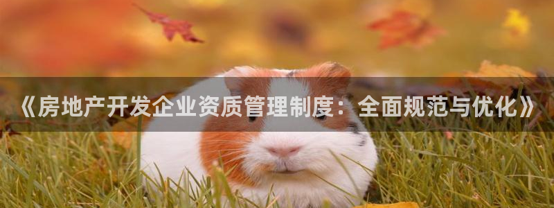和记国际官网官网：《房地产开发企业资质管理制度：全面规范与优