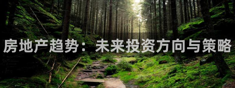和木记官网：房地产趋势：未来投资方向与策略