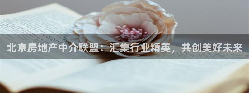 澳门和记官网娱乐场：北京房地产中介联盟：汇集行业精英，共创美