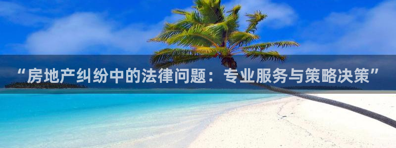 和木记官网：“房地产纠纷中的法律问题：专业服务与策略决策”