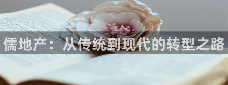 和记娱乐app官网：儒地产：从传统到现代的转型之路
