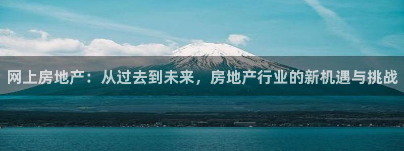 和记娱官网h88285怡情：网上房地产：从过去到未来，房地产