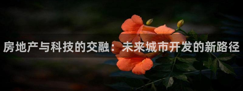 上海和记黄埔官网：房地产与科技的交融：未来城市开发的新路径