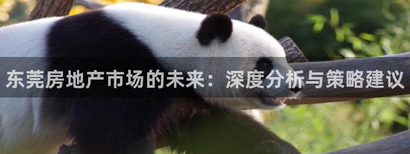 和记3电讯 官网：东莞房地产市场的未来：深度分析与策略建议