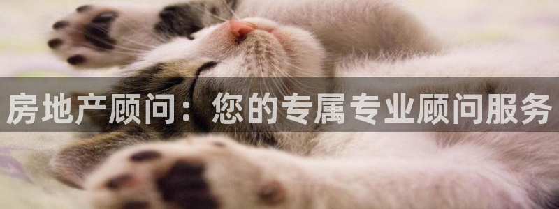 和记黄埔官网攻略：房地产顾问：您的专属专业顾问服务