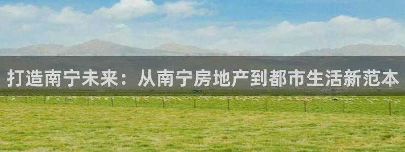 广州和德记官网：打造南宁未来：从南宁房地产到都市生活新范本