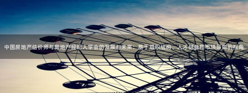 和记娱乐app官网：中国房地产估价师与房地产经纪人学会的发展