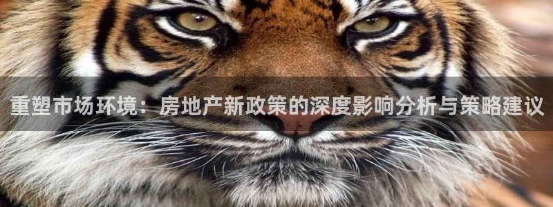 长江和记官网