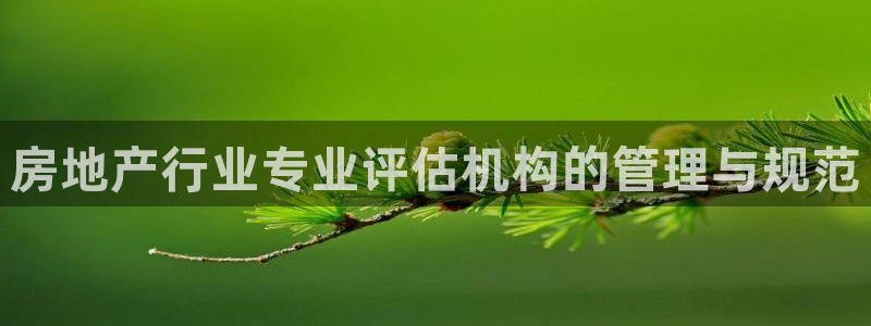 和记娱哪个位置h88285官网：房地产行业专业评估机构的管理