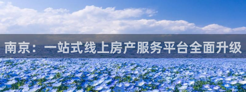 和记官网登录入口：南京：一站式线上房产服务平台全面升级