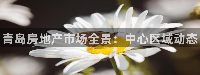 和记娱乐 怡情搏娱官网：青岛房地产市场全景：中心区域动态