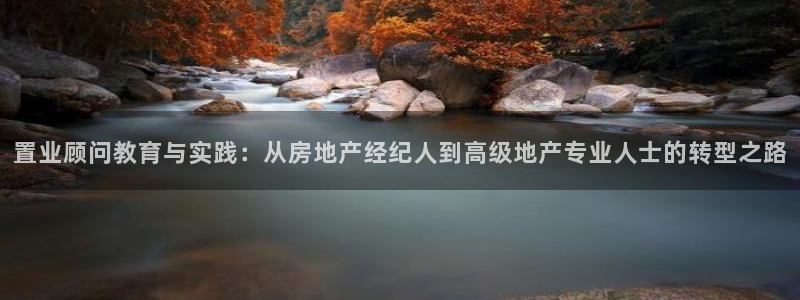 hgc和记官网：置业顾问教育与实践：从房地产经纪人到高级地产