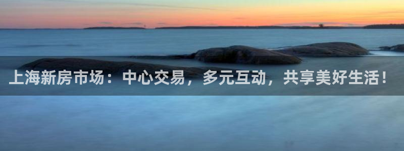 和记港口信托官网：上海新房市场：中心交易，多元互动，共享美好