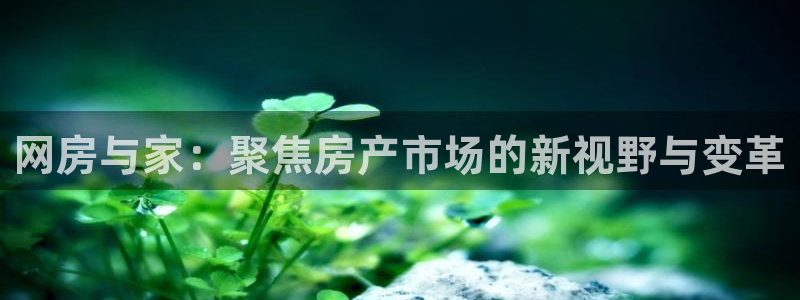 和记备用网官网开户：网房与家：聚焦房产市场的新视野与变革
