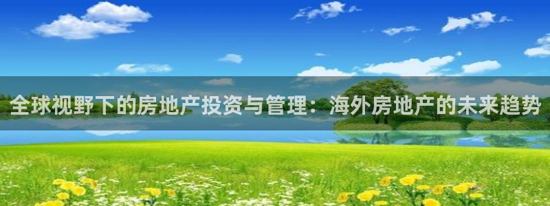 和记官网进入：全球视野下的房地产投资与管理：海外房地产的未来