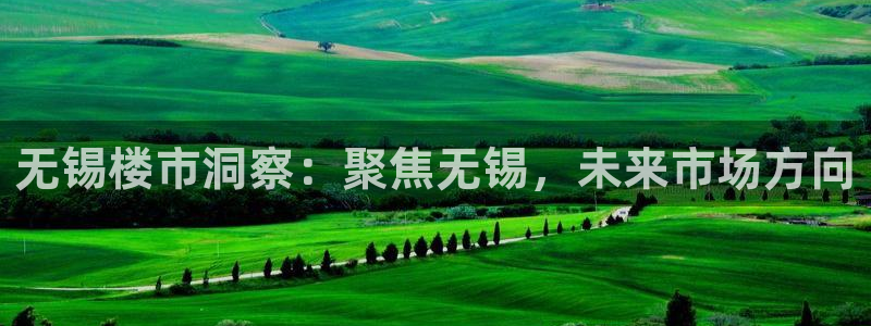 武汉和记黄埔官网：无锡楼市洞察：聚焦无锡，未来市场方向