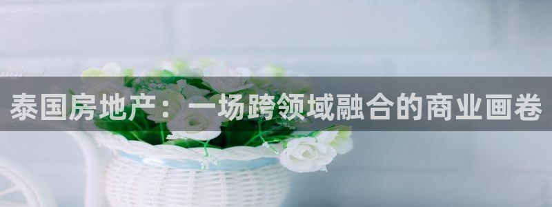 香港和记3台官网：泰国房地产：一场跨领域融合的商业画卷