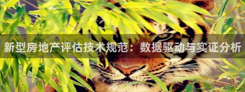 和记电讯three官网：新型房地产评估技术规范：数据驱动与实