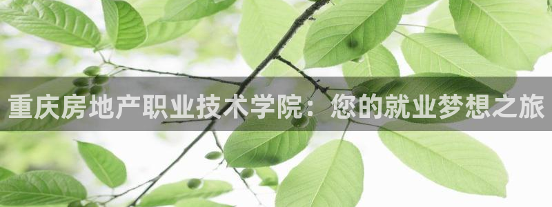 和记集团官网：重庆房地产职业技术学院：您的就业梦想之旅