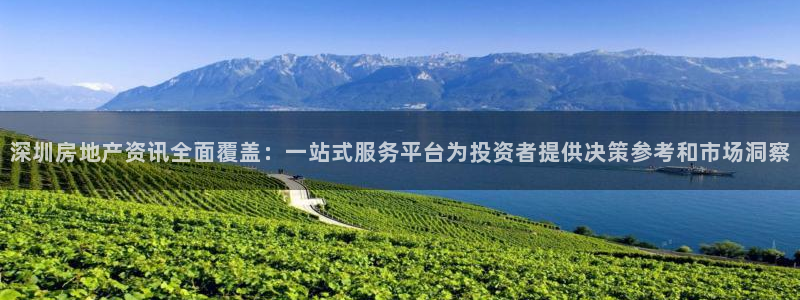 和记租车官网：深圳房地产资讯全面覆盖：一站式服务平台为投资者