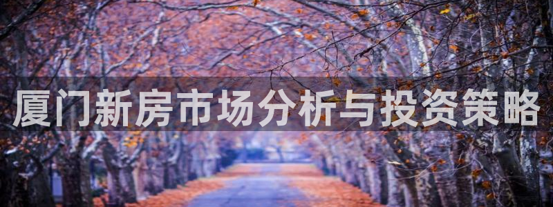 和记官网ap：厦门新房市场分析与投资策略