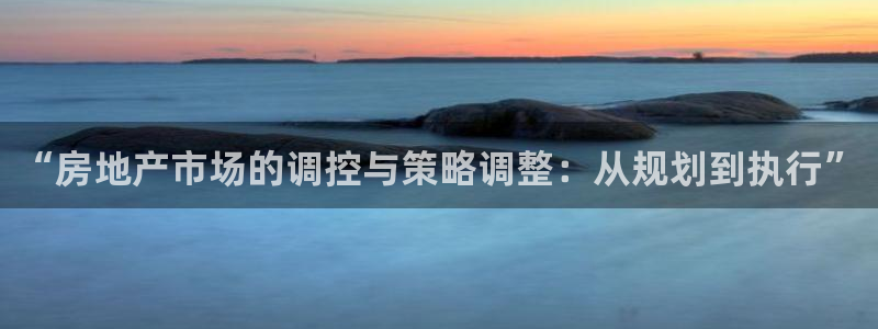 和记集团官网：“房地产市场的调控与策略调整：从规划到执行”