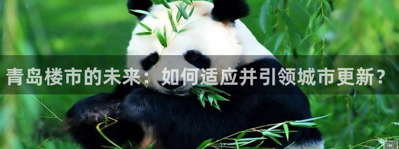 和记娱乐h8官网：青岛楼市的未来：如何适应并引领城市更新？
