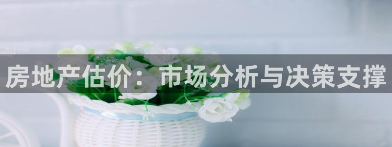 和记官网是一个什么平台：房地产估价：市场分析与决策支撑