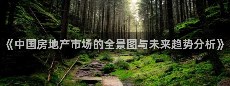 桃源记九游和官网：《中国房地产市场的全景图与未来趋势分析》