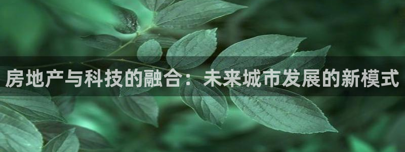 和记娱乐手机官网：房地产与科技的融合：未来城市发展的新模式