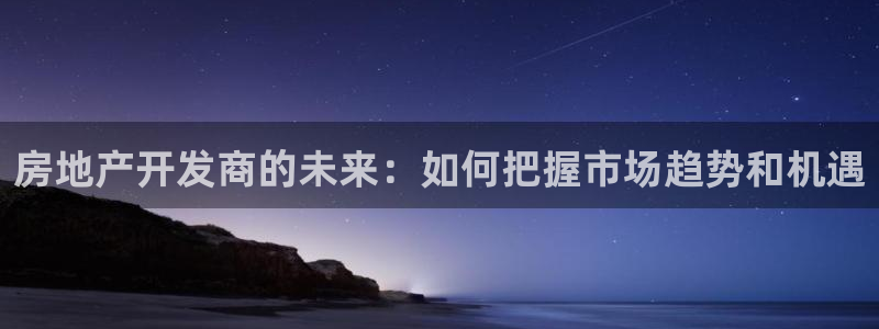 和记官网：房地产开发商的未来：如何把握市场趋势和机遇