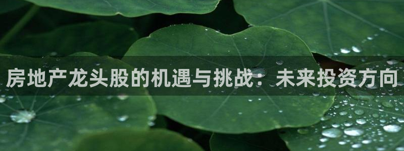 和记国际官网电话：房地产龙头股的机遇与挑战：未来投资方向