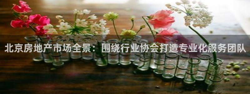 香港和记3台官网：北京房地产市场全景：围绕行业协会打造专业化