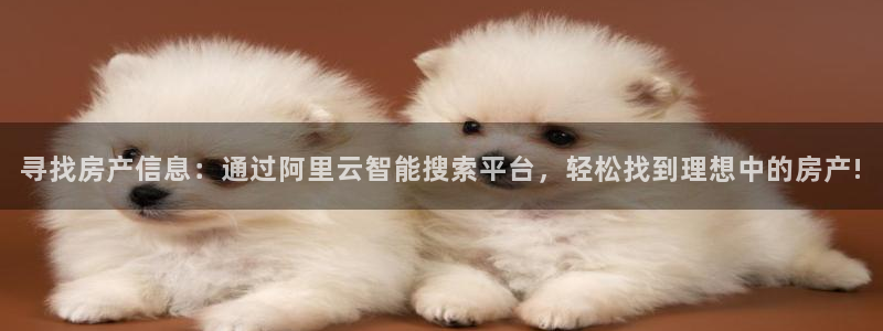 缅甸和记平台官网：寻找房产信息：通过阿里云智能搜索平台，轻松