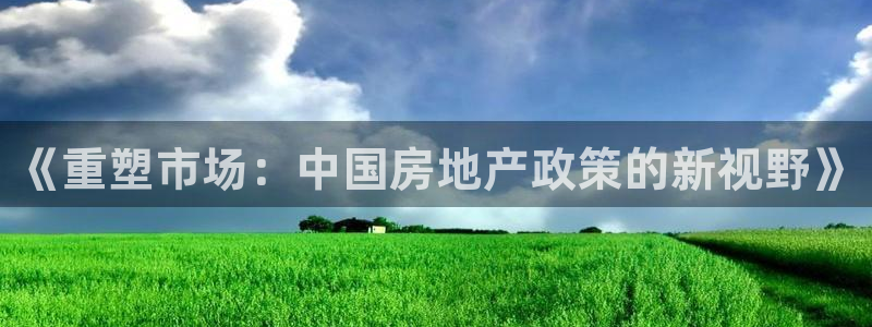 胡和记面官网：《重塑市场：中国房地产政策的新视野》